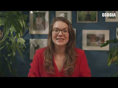 Videominiaturansicht des Artikels