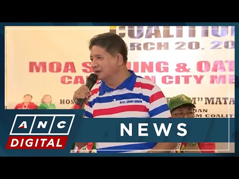 Gadon disbarred over foul-mouthed attacks vs female journalist
