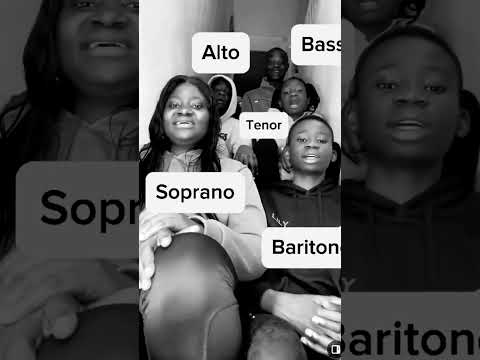 Insane Harmony will blow your mind 🎵🎤🎶  #wow #acapella #harmonize #bass #soprano #alto #tenor