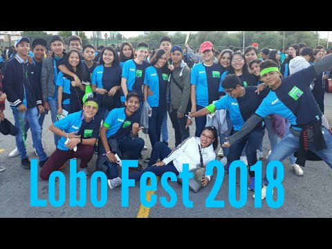 download lagu mp3 mp4 Lobo Fest 2018, download lagu Lobo Fest 2018 gratis, unduh video klip Lobo Fest 2018