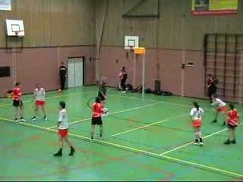 Weidevogels 2 - Pernix 4