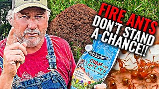The ONLY Way You Can Control Fire Ants