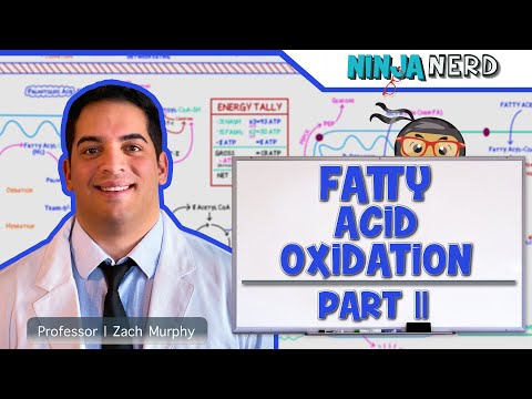 Biochemistry Michaelis Menten Equation
