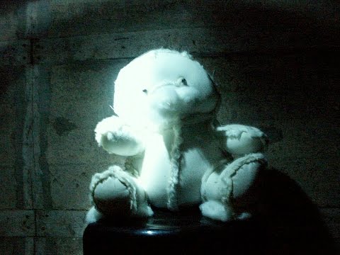 Ola skulle pissa, då kom bjornen (bear attack in sweden)