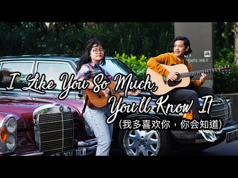 I Like You So Much, You’ll Know It (我多喜欢你,你会知道) - A Love So Beautiful OST|Eng Cover by Cinta & Nino