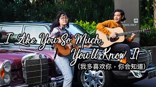 Download lagu I Like You So Much, You’ll Know It (我多喜欢你,你会知道) - A Love So Beautiful OST|Eng Cover by Cinta & Nino mp3