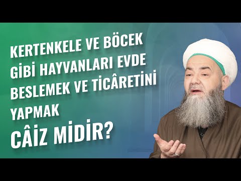 Kertenkele ve Böcek Gibi Hayvanları Evde Beslemek ve Ticâretini Yapmak Câiz midir?