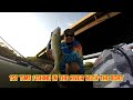 Video Thumbnail for Fishing in The South of Saskatchewan River (Saskatoon) ???️ #Fishing #River #Saskatoon