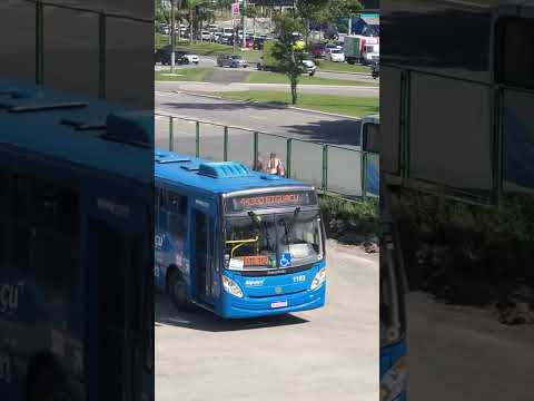 🚌 SÓ OS APAIXONADOS POR ÔNIBUS VÃO CURTIR! 👀🔥🤩🫶#busologia #floripa #km #haissa #sc #shorts #trending