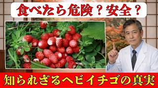 「ヘビイチゴは危険？科学が明かす真実【シニア健康】」