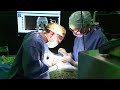 How Doctors In Belgium Reconstruct Noses Amid Rising Cocaine Use