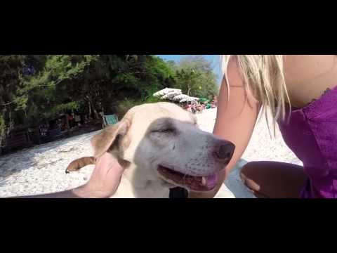 Audien vs  Faul & Wad Ad vs  Pnau vs  TJR   Remix Hindsight Changes