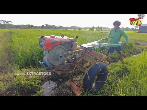 Obstacle!!! Hand Tractor Enters Land Through Bunds And Irrigation Streams
