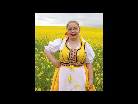 Zuzka Hrehová - Zlamaľi še uhľarovi, Poznala som muzikanta