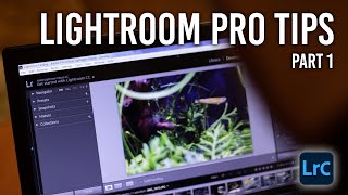 Lightroom Like a Pro | Part 1