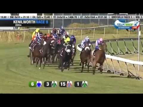 Whisky Baron won Sun Met (J&b met)  with Greig Cheyne 28.01.2017