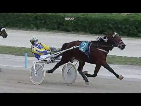 Aversa trotto 25 Gennaio 2020 - 4° Corsa