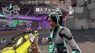 年末カスタム