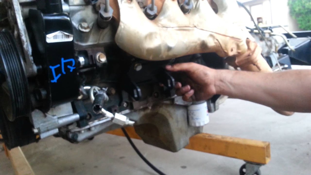 Dirty dingo sliders OBS SWAP