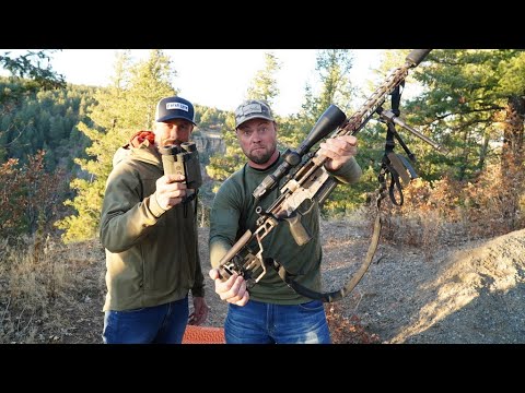 The ALL NEW SIG BDX System! (You have to see this)