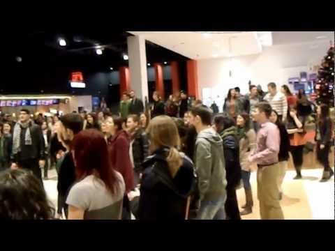 Flashmob 1 decembrie 2012 Oradea (2)