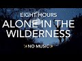 Sounds Of The Wilderness Wolf Elk Loon Call With Other Mysterious Creatures 8 Hours