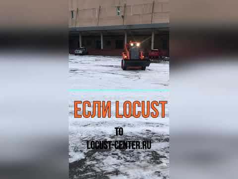 Locust L753 [4]