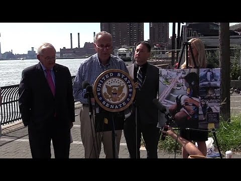 NYC Helicopter Flights & Dogs