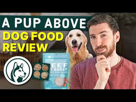 A Pup Above Dog Food Review: My Dog's Experience & Results (Is It Worth It?)
