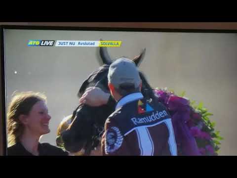 Elitloppet 2021 Don Fanucci Zet