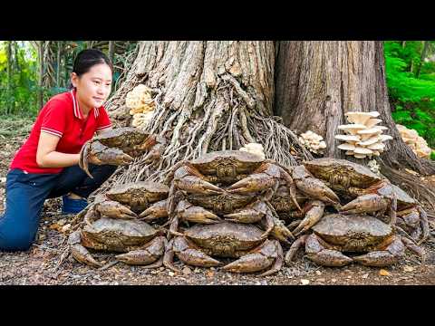 Harvesting Giant Stone Crabs in the Sacred Forest & Goes to Market Sell – Daily Survival Life