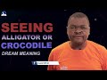 Seeing Alligator Or Crocodile In The Dream - Find Out The Meaning