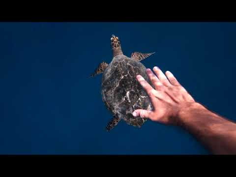 Dennis Sheperd & Katty Heath   "Where I Begin"  (Club Mix)