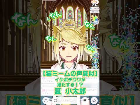 【猫ミーム♡声真似】イケボチワワの猫化！？似てる！？夏小太郎【イケボ/IRIAM切り抜き/男性声優】※shorts
