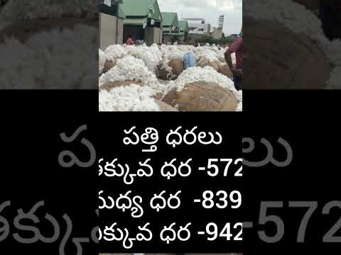 #cotton prices #17-10-2022 #adoni market cotton price #shots