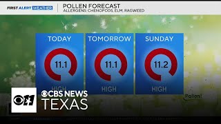 What's going around High pollen in North Texas leading to symptoms for those with allergies