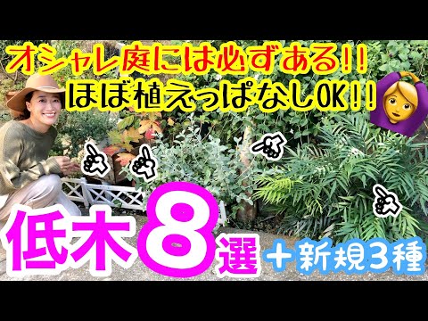 斜面植栽用の多年草と樹木 トピックス