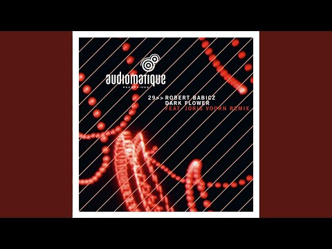 Dark Flower (Joris Voorn Magnolia Mix)