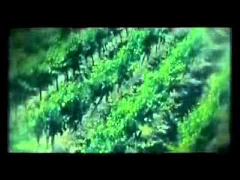 In un mondo di estranei