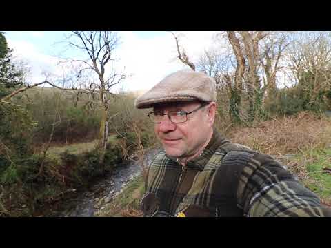 Daftmill Auction Success,  Thanks !