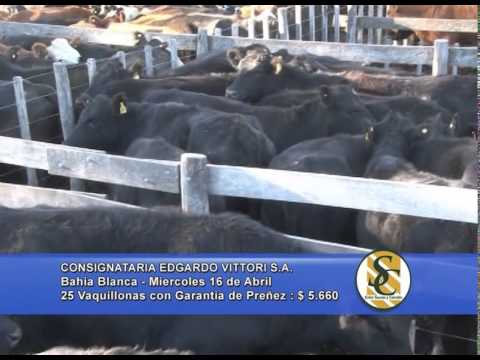 Consignataria Edgardo Vittori S.A. - Bahía Blanca - Parte 2 - 16/04/2014