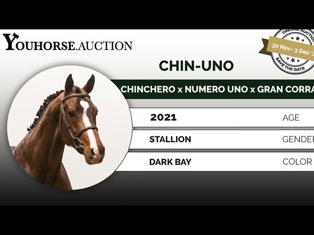 Chin-Uno impression
