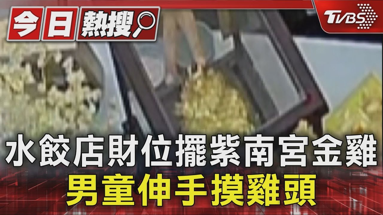 水餃店擺紫南宮金雞！男童玩金雞、爸爸玩手機　店家怒了