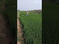 Annadata Video Song