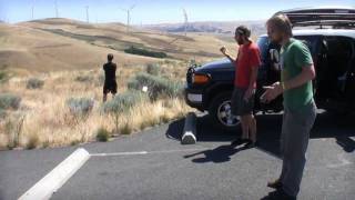 1 YEAR: A COMPILATION