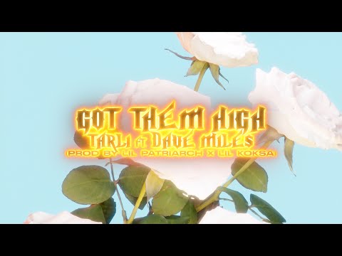 TARLI x DAVE MILES - GOT THEM HIGH (OFFICIAL VISUALIZER)