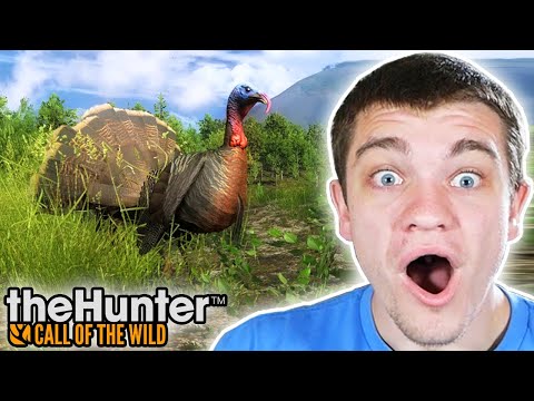 IT'S TURKEY TIME! Hunter Call of the Wild Ep. 70