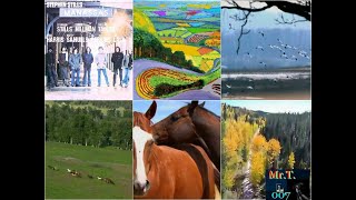 Stephen Stills 'Thoroughfare Gap'