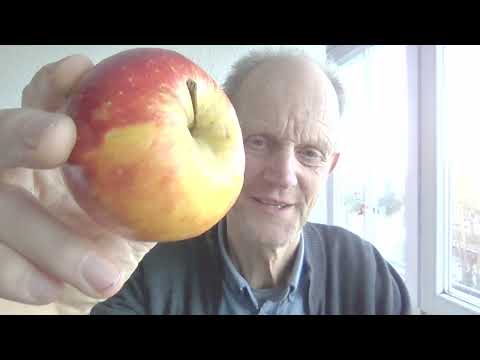 Aufbruch im Obstbau: Lebendiger Boden und Artenvielfalt