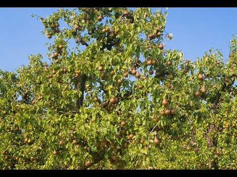 Eraclea Terra e Mare - Le Eccellenze